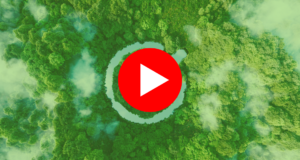 An icon of a goal fulfilled in the form of a clear pond in the middle of a lush forest. | Une icône d'un objectif atteint sous la forme d'un étang clair au milieu d'une forêt luxuriante.