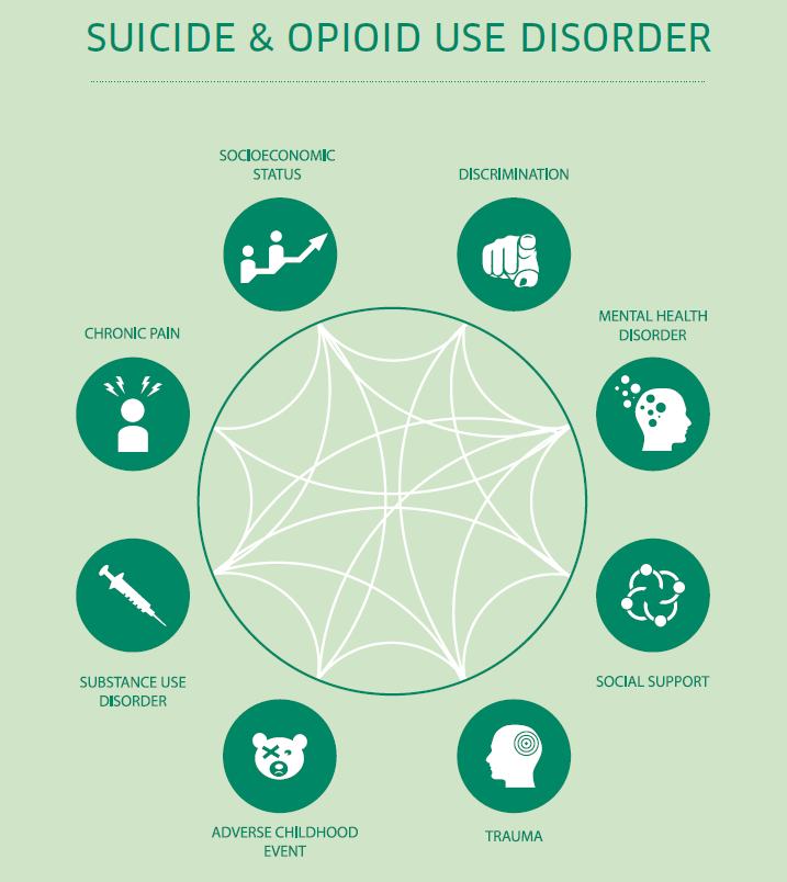 A circle shows the interconnection of discrimination, mental health disorder, social support, trauma, adverse childhood event, substance use disorder, chronic pain, and socioeconomic status.