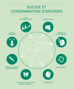 Sur un fond vert clair, on lit le titre, « Suicide et la consommation d’opioïdes ». Sous le titre se trouve un cercle vert foncé traversé de lignes blanches qui relient les cercles vert foncé qui entourent le plus grand cercle, comme des chiffres sur une horloge. Chaque petit cercle vert foncé contient une icône blanche. En commençant en haut à droite et en se déplaçant dans le sens des aiguilles d'une montre autour du plus grand cercle vert, nous voyons : - Discrimination (icône : main blanche avec un doigt pointé vers vous) - Trouble de santé mentale (icône : silhouette d'une tête avec de petites bulles entrant et sortant du dos) - Soutien social (icône : chaîne interconnectée) - Traumatisme (icône : silhouette d'une tête avec une cible dans le dos) - Événement négatif vécu durant l'enfance (icône : un ours en peluche avec un X à la place d'un œil) - Trouble de l’usage d’une substance (icône : seringue) - Douleur chronique (icône : silhouette d'une personne avec des éclairs autour de la tête) - Statut socioéconomique (icône : ligne graphique orientée vers le haut avec deux silhouettes le long de la ligne, comme si la ligne graphique était un ensemble d'escaliers que les silhouettes montent)