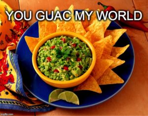 Guacamole: You guac my world