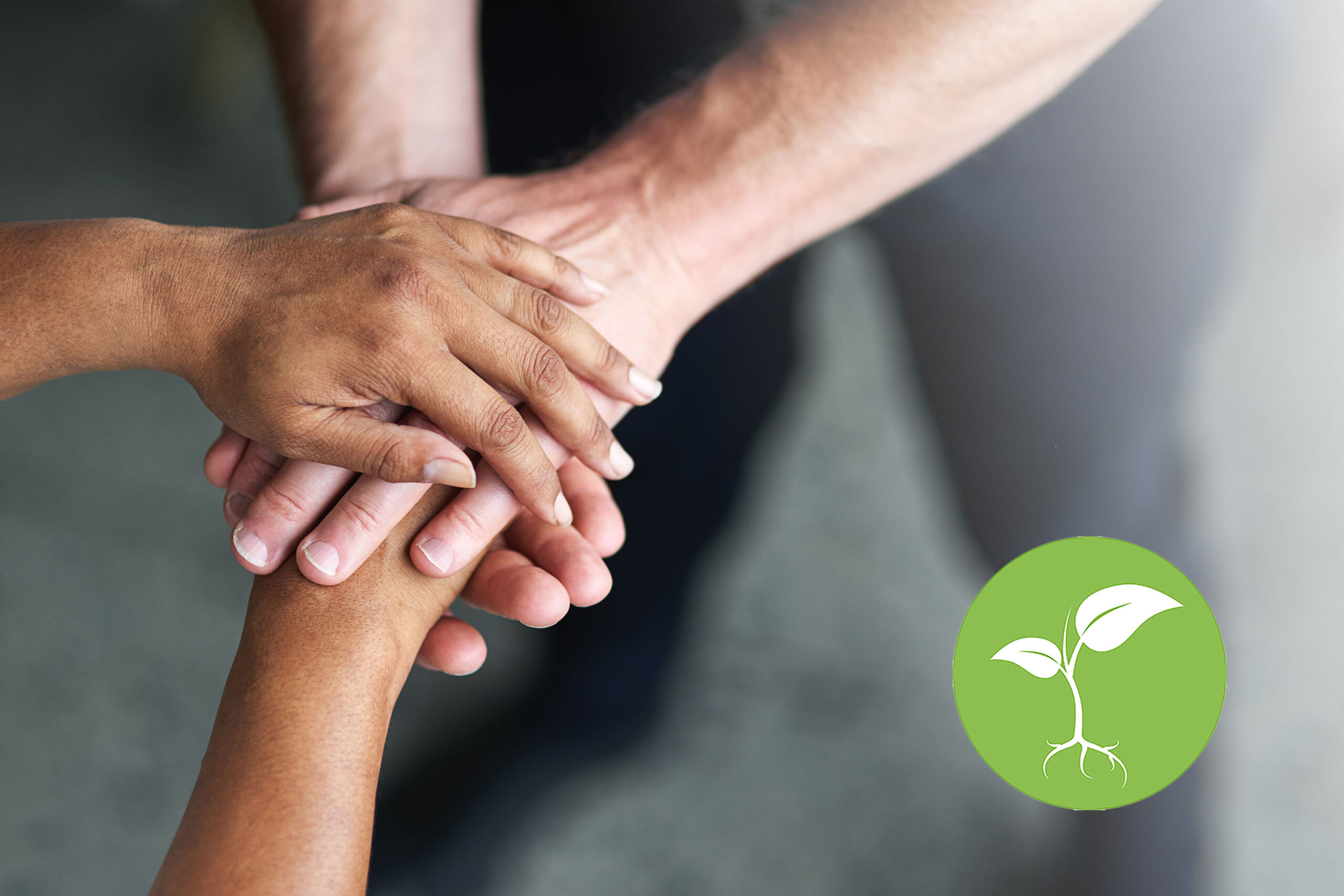 Cropped shot of two people's hands together in unity | Plan recadré des mains de deux personnes ensemble dans l'unité |