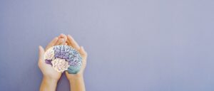 Hands holding purple brain