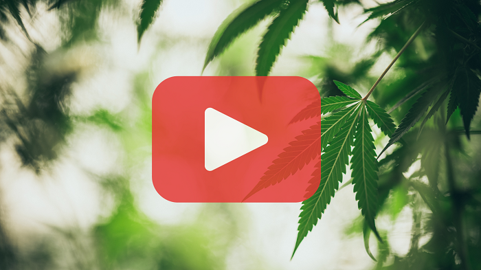 Cannabis Youtube video icon
